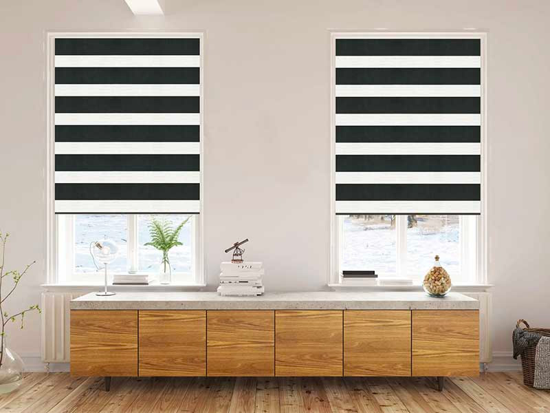 zebra blinds for living room in London Ontario